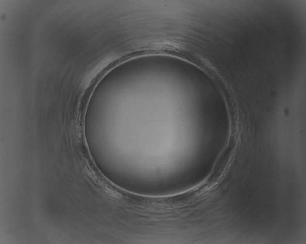 X0000053071071200507181620