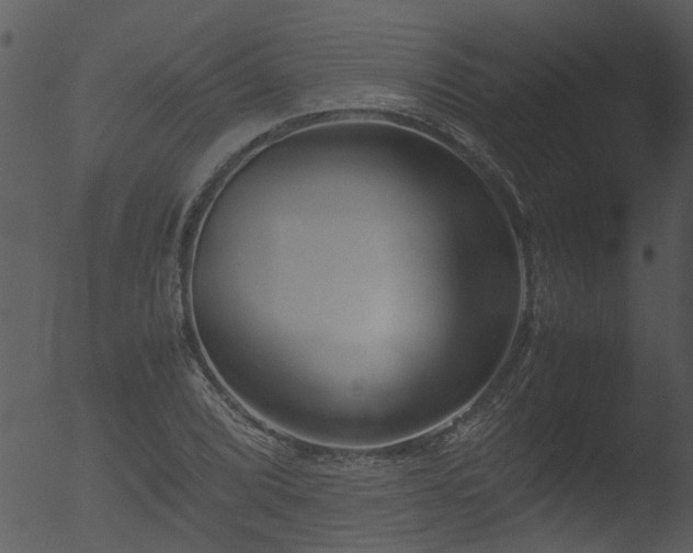 X0000053071072200507181620