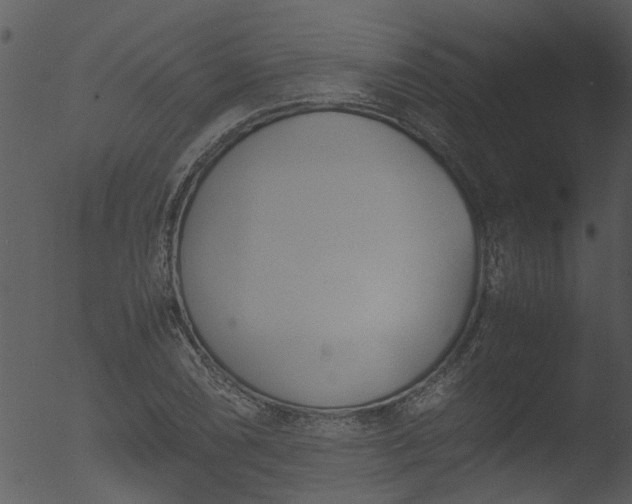 X0000053071074200507181620