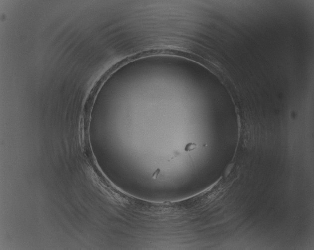 X0000053071076200507181620