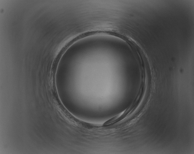 X0000053071077200507181620