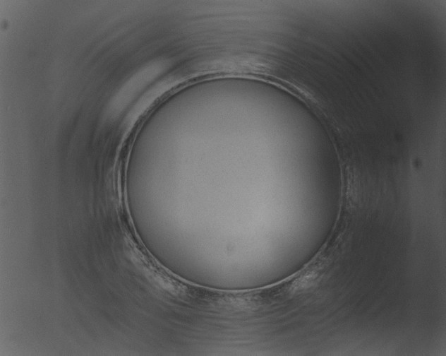 X0000053071078200507181620