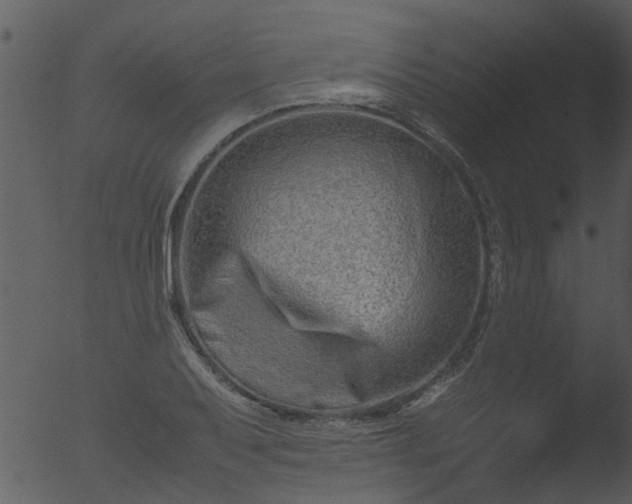 X0000053071079200507181620