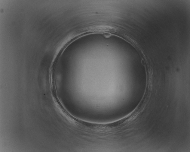 X0000053071083200507181620