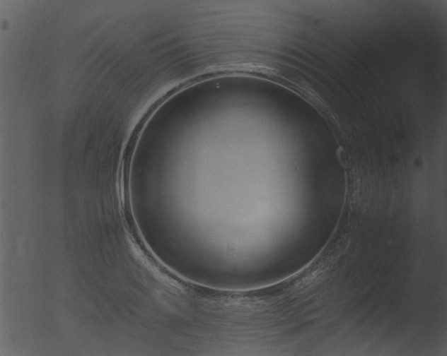 X0000053071084200507181620