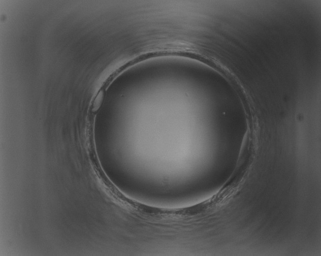 X0000053071085200507181620