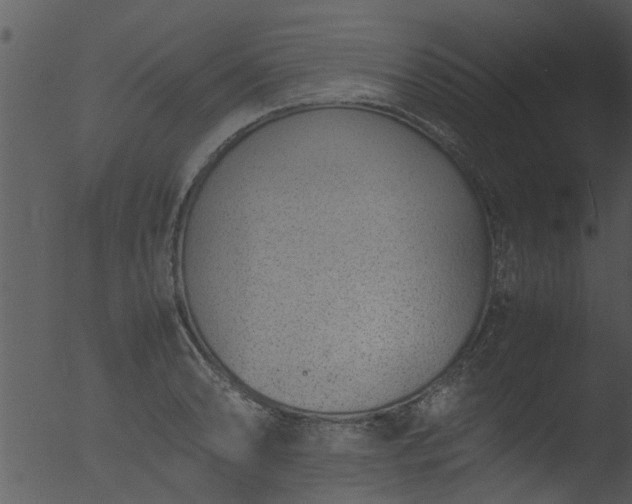 X0000053071086200507181620