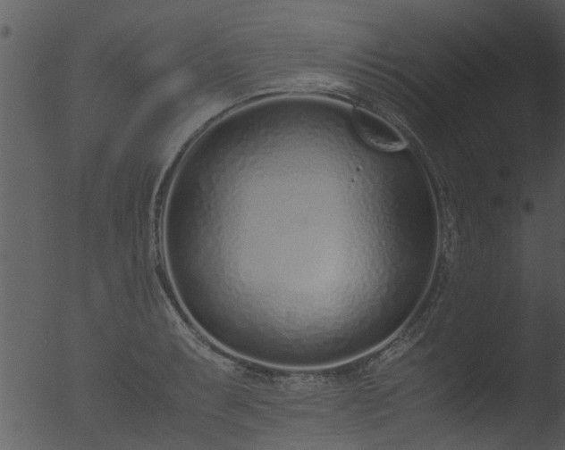 X0000053071087200507181620