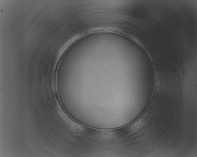 X0000053071090200507181620