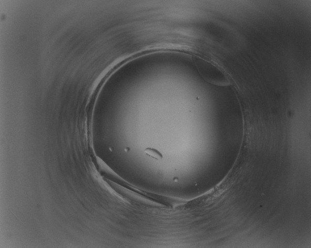 X0000053071092200507181620