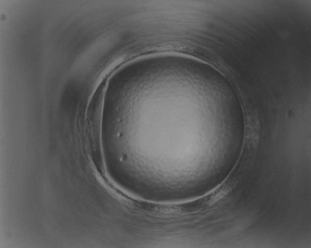 X0000053071095200507181620