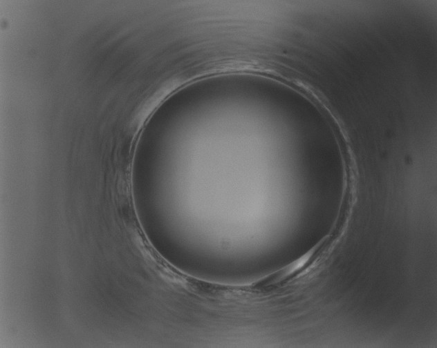 X0000053071097200507181620