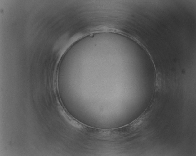 X0000053071098200507181620