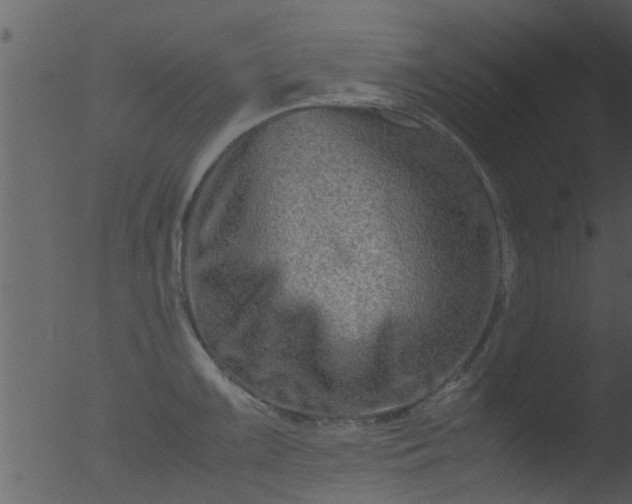 X0000053071099200507181620