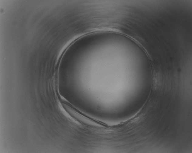 X0000053071100200507181619