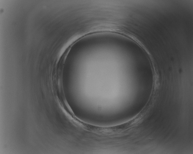 X0000053071101200507181619