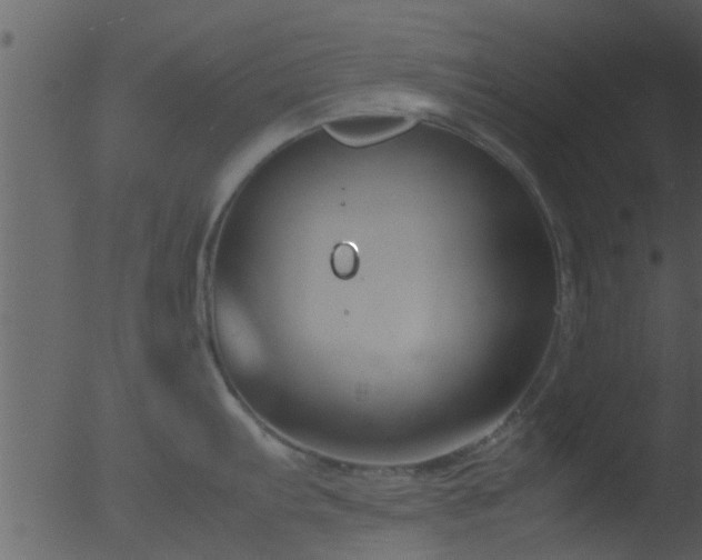 X0000053071103200507181619