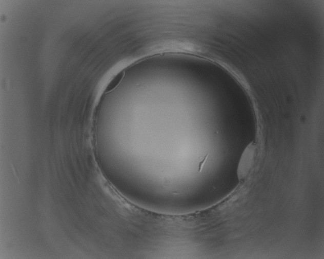 X0000053071104200507181619