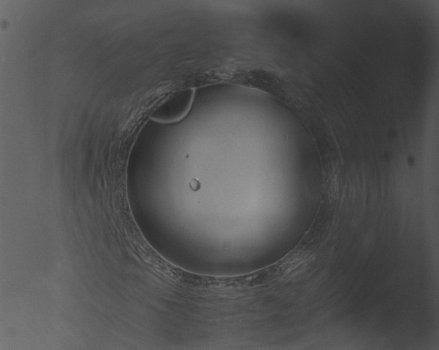 X0000053071105200507181619