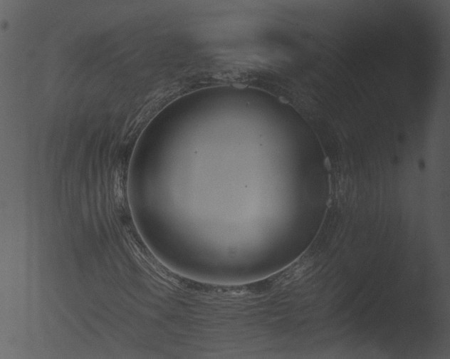 X0000053071106200507181619