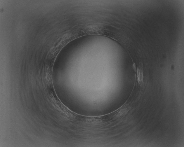 X0000053071107200507181619