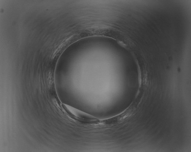 X0000053071108200507181619