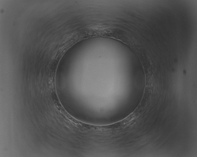 X0000053071109200507181619