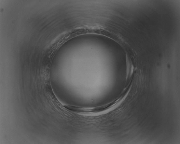 X0000053071110200507181619