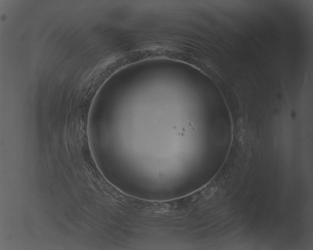 X0000053071111200507181619