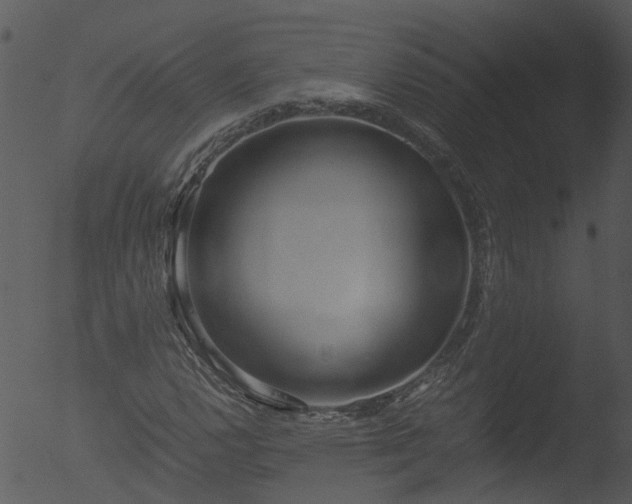 X0000053071112200507181619