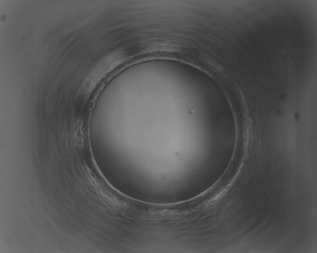 X0000053071113200507181619