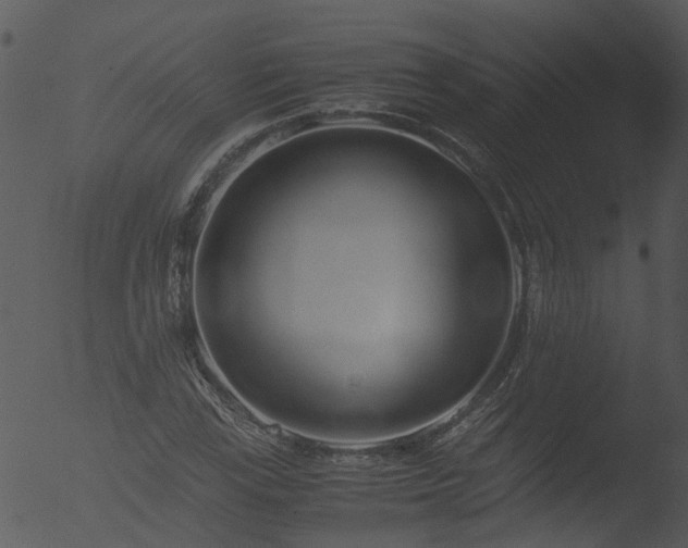 X0000053071115200507181619