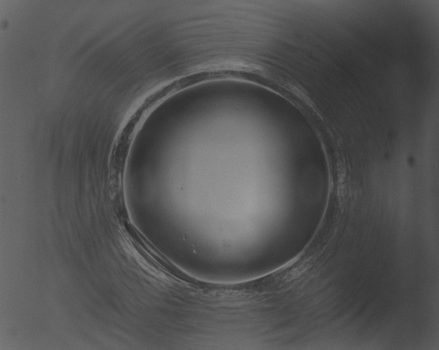 X0000053071116200507181619