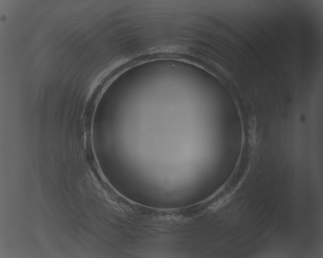 X0000053071117200507181619