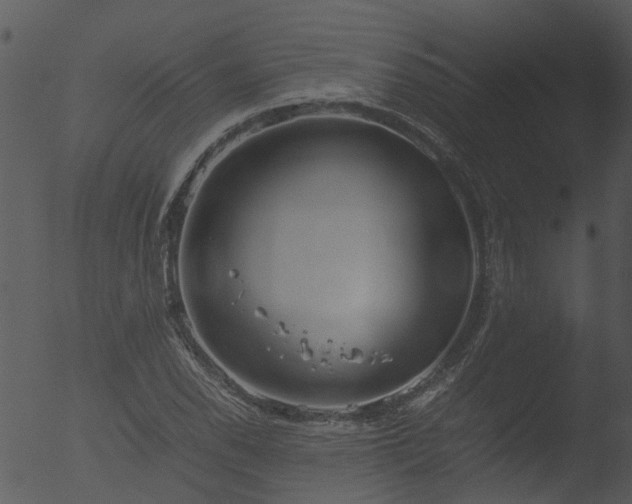 X0000053071118200507181619