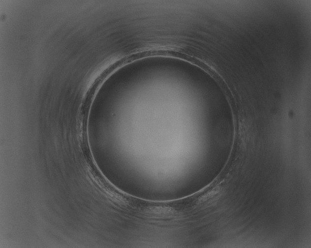 X0000053071119200507181619