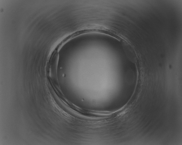 X0000053071120200507181619