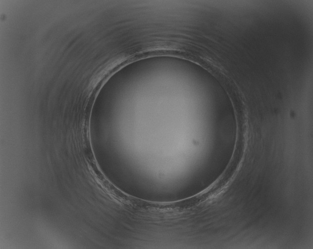 X0000053071121200507181619