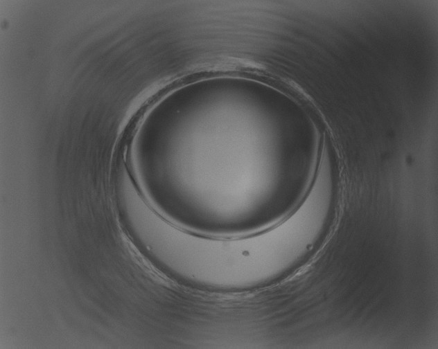 X0000053071122200507181619