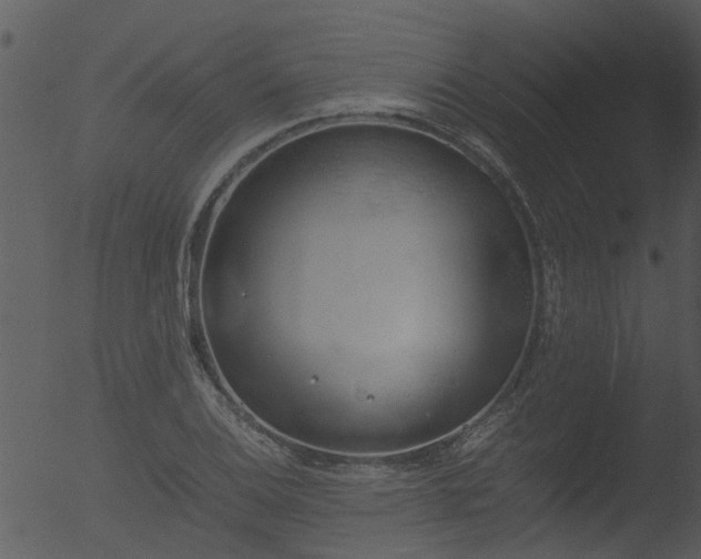 X0000053071124200507181619