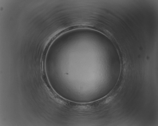 X0000053071125200507181619