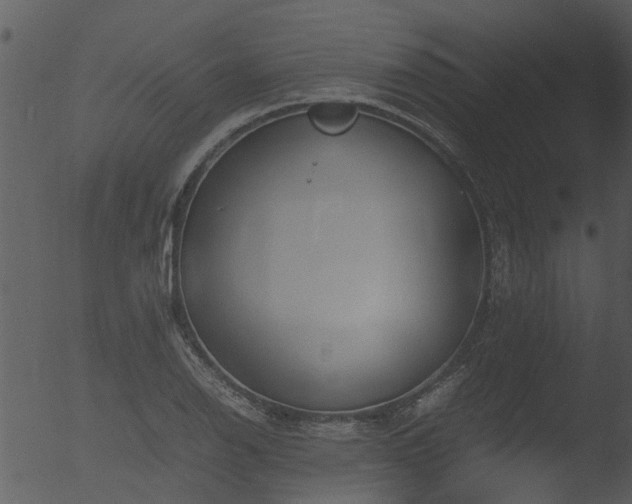 X0000053071126200507181619