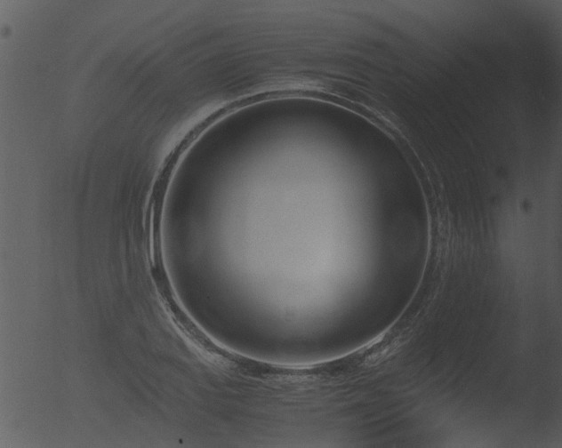 X0000053071127200507181619