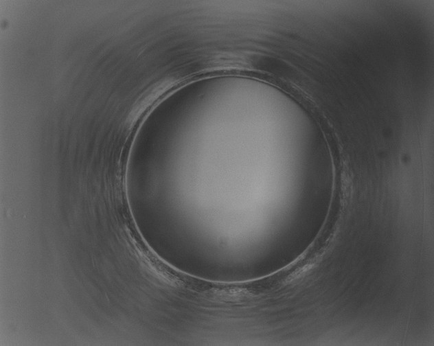 X0000053071129200507181619