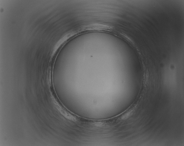 X0000053071130200507181619