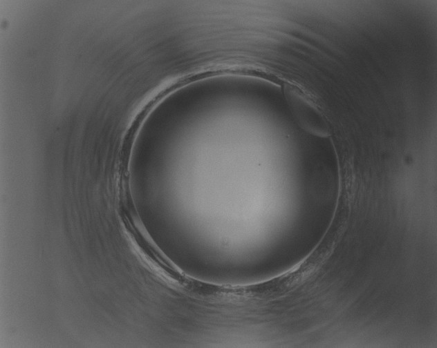 X0000053071134200507181619