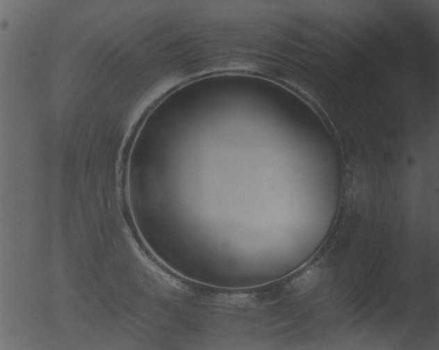 X0000053071135200507181619