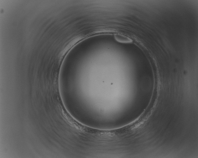 X0000053071137200507181619