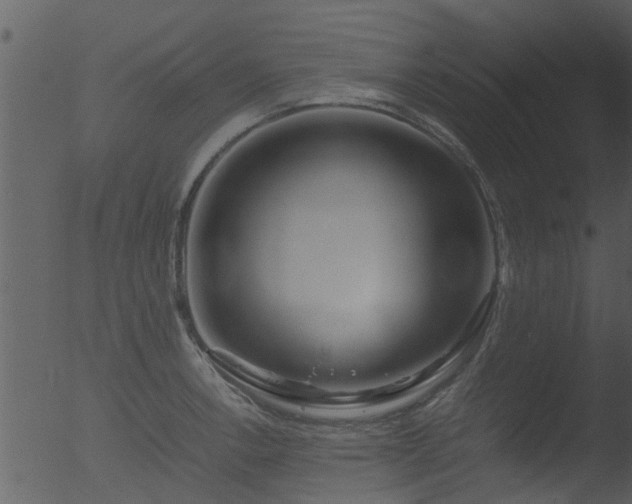 X0000053071138200507181619