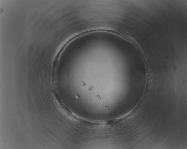 X0000053071140200507181619